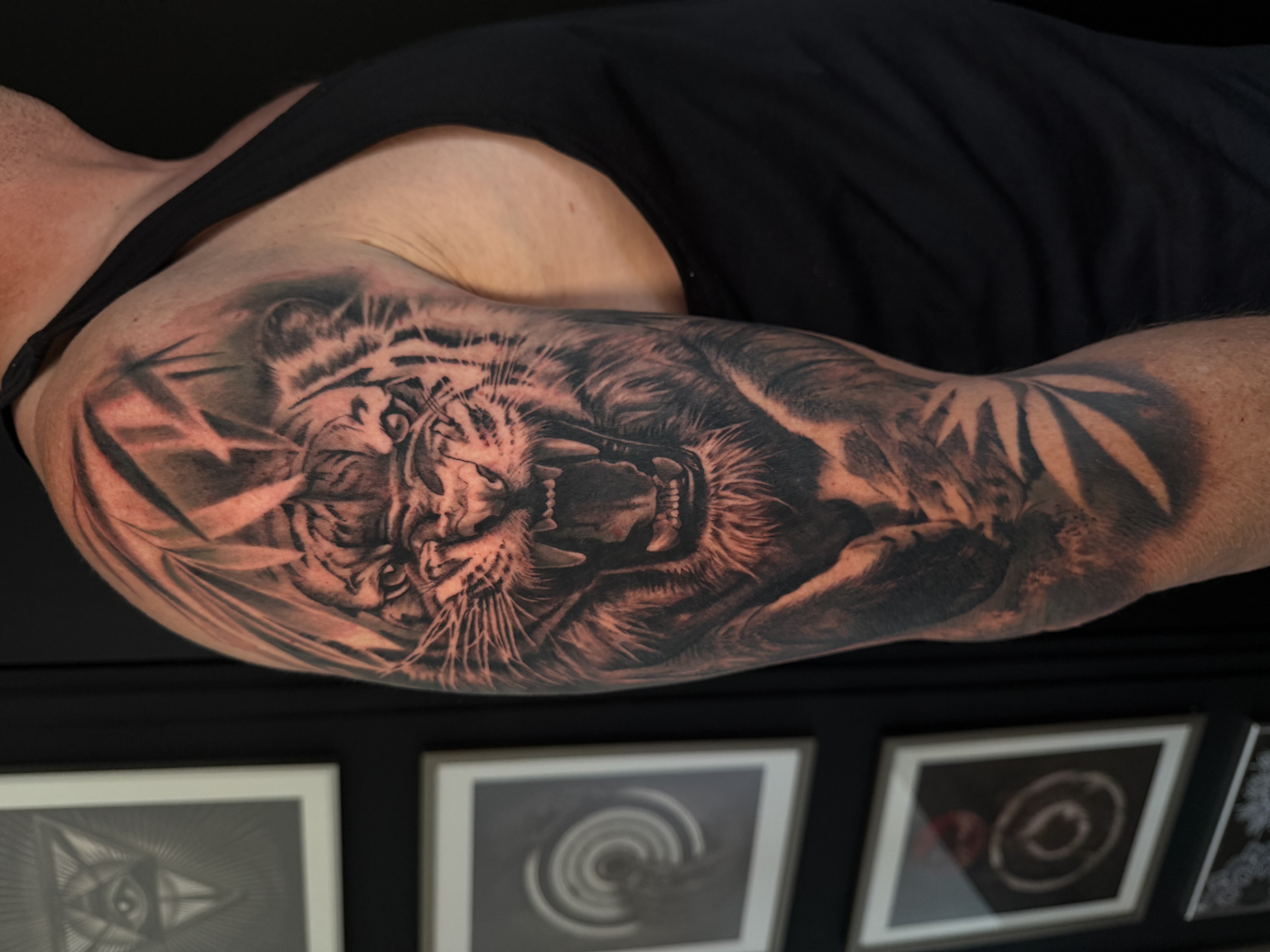 Tigre — réalisme noir et gris